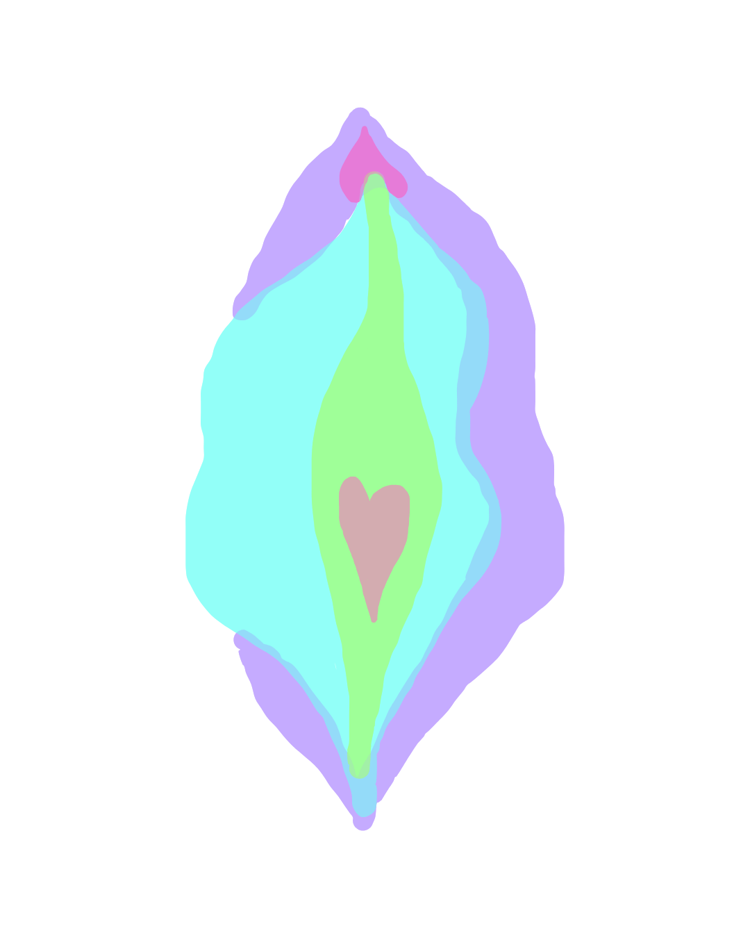 Analiza iskustava sa prvog ginekološkog pregleda